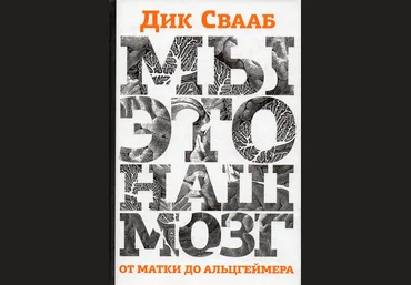 Мы — это наш мозг. От матки до Альцгеймера - Свааб слив