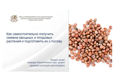 Наталья Минина Как самостоятельно получить семена овощных и плодовых растений и подготовить их к п слив