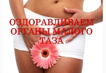 Курс по оздоровлению органов малого таза «Апана» - Луганский 2017 слив