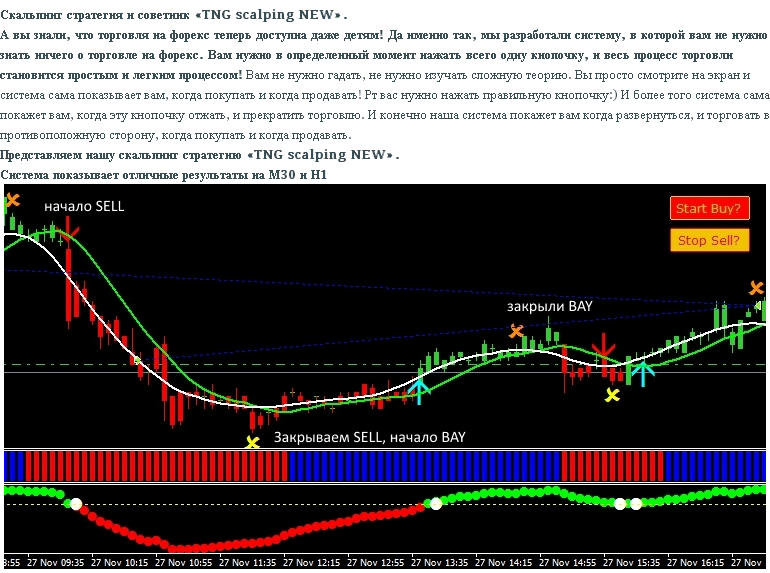 Скальпинг стратегия форекс и советник TNG scalping NEW слив курса