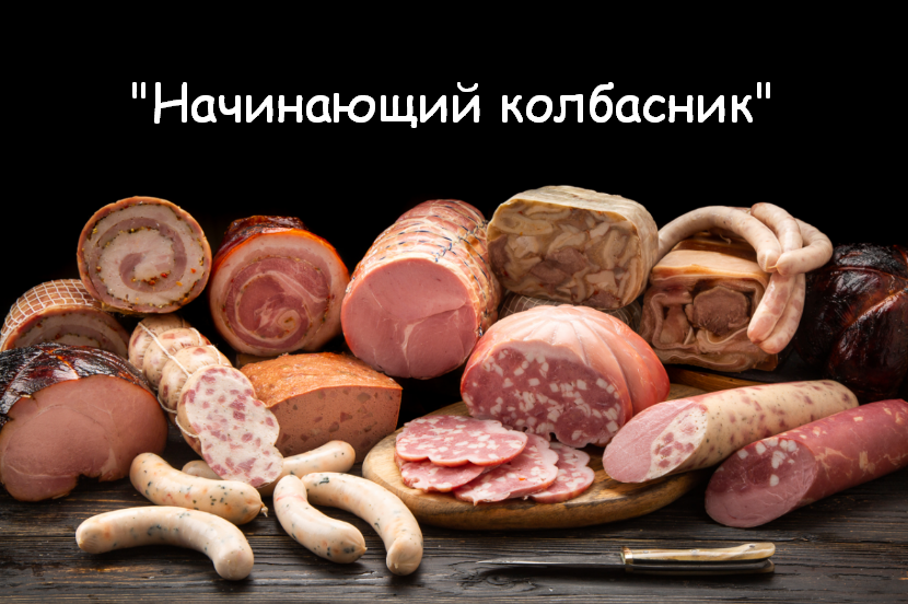 Денис Козловский Начинающий колбасник 2023 слив курса
