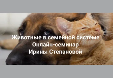 Ирина Степанова Институт Открытого поля Животные в семейной системе 2025 слив