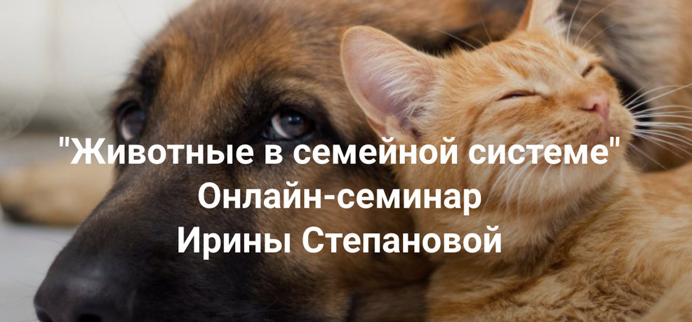 Ирина Степанова Институт Открытого поля Животные в семейной системе 2025 слив курса