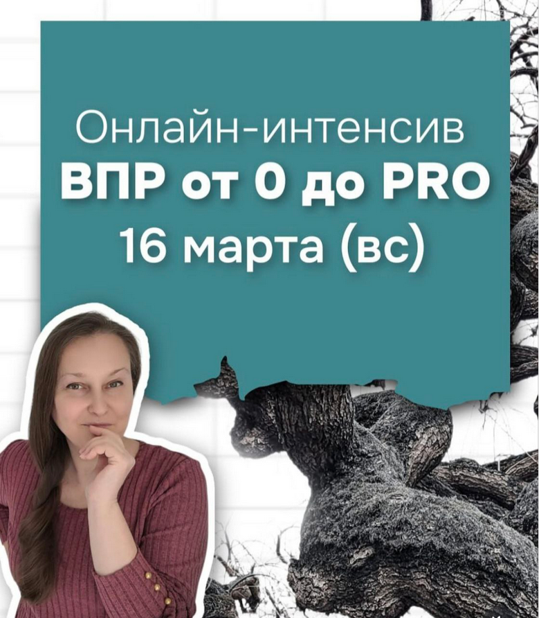 Олеся Маркович ВПР от 0 до PRO 2025 слив курса