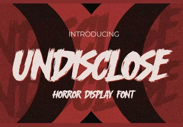 Fontbundles Undisclose Font 2022 слив