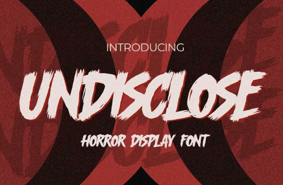 Fontbundles Undisclose Font 2022 слив курса