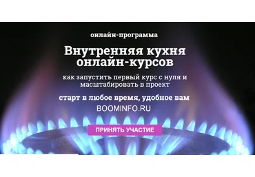 Мария Губина Внутренняя кухня онлайн-курсов 2018 слив