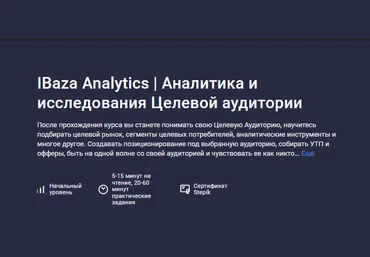 IBaza EdTech Stepik Аналитика и исследования целевой аудитории обновление 06.2024 слив