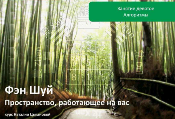 Наталия Цыганова Фэн шуй. Алгоритмы решений Транскрибация слив курса
