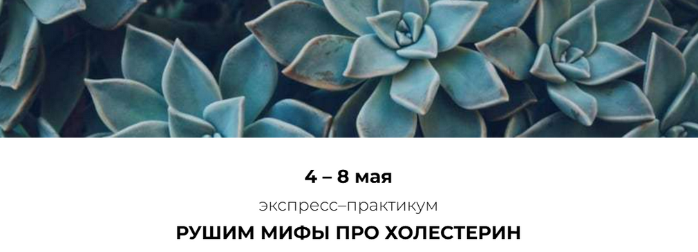 Венера Хабирова Рушим мифы про холестерин 2025 слив курса