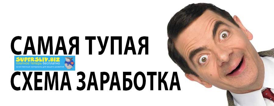 Самая тупая схема заработка в мире 2019 слив курса