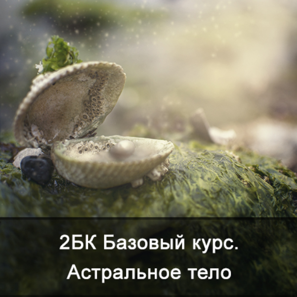 Ксения Меньшикова 2БК Базовый курс. Астральное тело Школа Меньшиковой слив курса