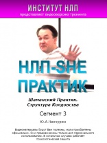 Шаманский ПРАКТИК. Сегмент 3 - Чекчурин Юрий 2011 слив курса