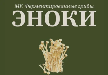 Мария Сочилкина fermentinwonderland.ru Ферментированные грибы эноки 2024 слив