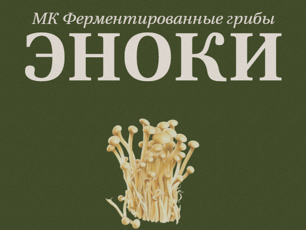 Мария Сочилкина fermentinwonderland.ru Ферментированные грибы эноки 2024 слив курса
