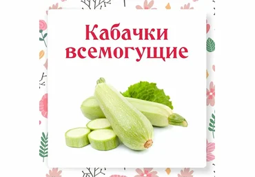 Ольга Данчук, Елена Воронцова Ленивый кулинар Кабачки всемогущие 2022 слив