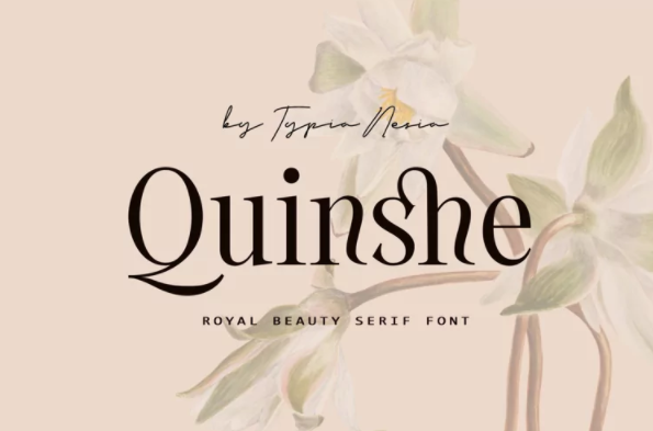 Fontbundles Quinshe Font 2022 слив курса