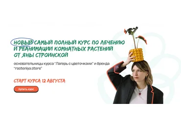 Яна Строинская Самый полный курс по лечению и реанимации комнатных растений 2024 слив