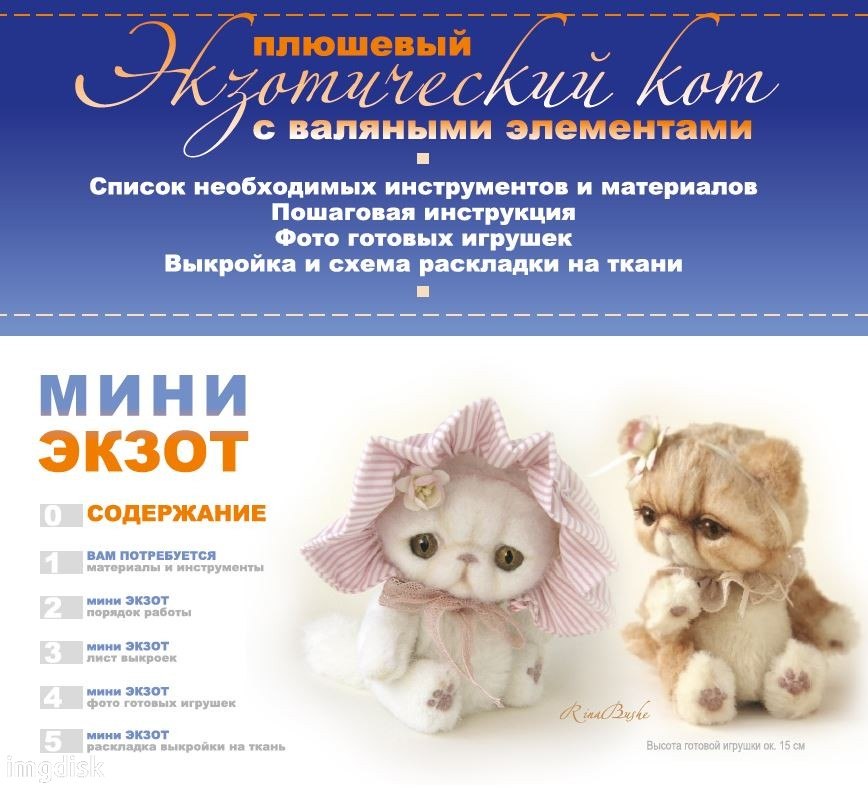 Мастер-класс «мини экзот». Автор Рина Буше. слив курса