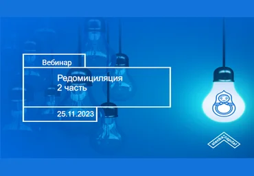 Элвис Марламов Как заработать на редомициляции - промежуточные итоги 2023 слив