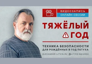 Александр Литвин Тяжелый год. Техника безопасности для рожденных в год Петуха 2023 слив