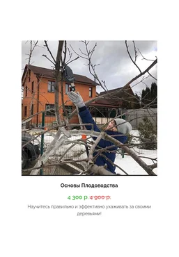 Кристианна Виниченко Основы плодоводства 2020 слив