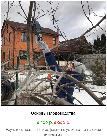 Кристианна Виниченко Основы плодоводства 2020 слив курса