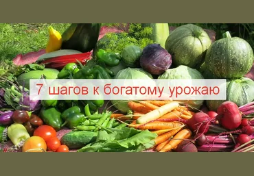 Алёна Волкова Алёнин сад 7 шагов к богатому урожаю 2023 слив
