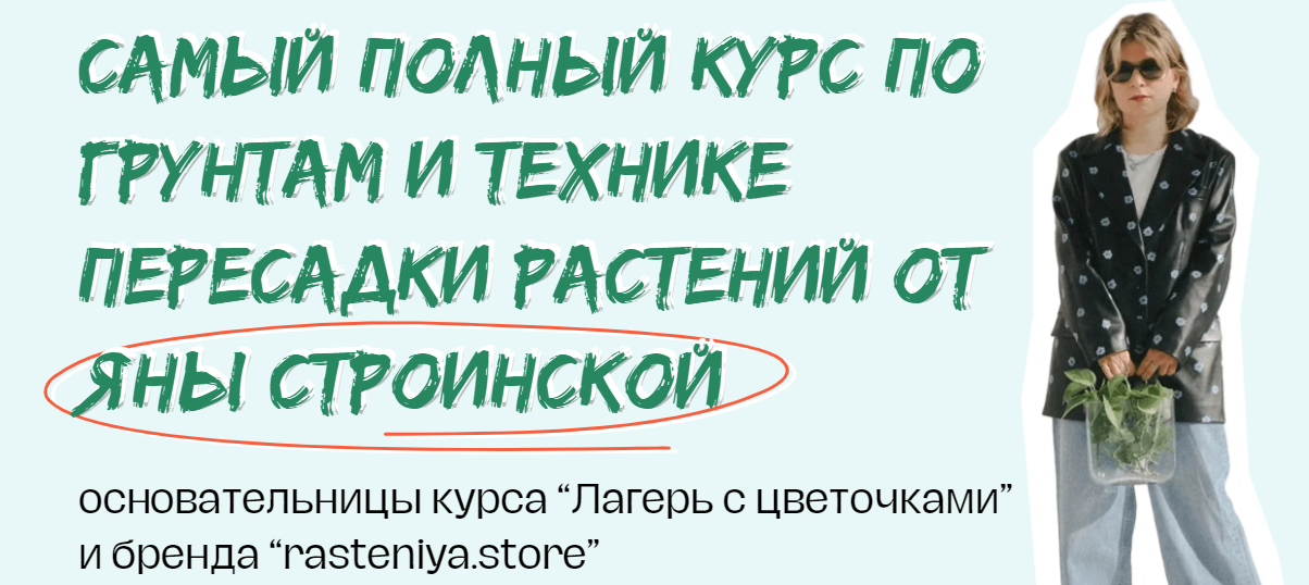 plants.coach Яна Строинская ― Мини-курс по пересадке растений 2024 слив курса