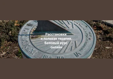 Елена Веселаго Расстановки и полевая терапия. Базовый курс. Пакет Только теория 2023 слив