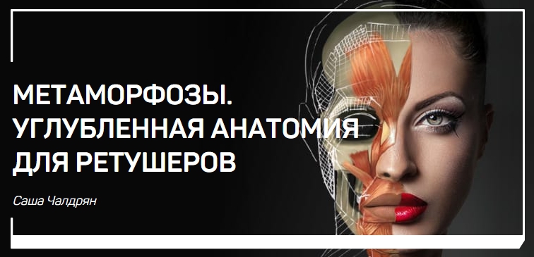 Метаморфозы. Углубленная анатомия для ретушеров - Чалдрян 2018 слив курса