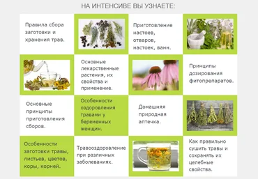 Травы для здоровья всей семьи на каждый день - Зименская 2016 слив