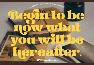 Creativemarket Magnific Font 2022 слив