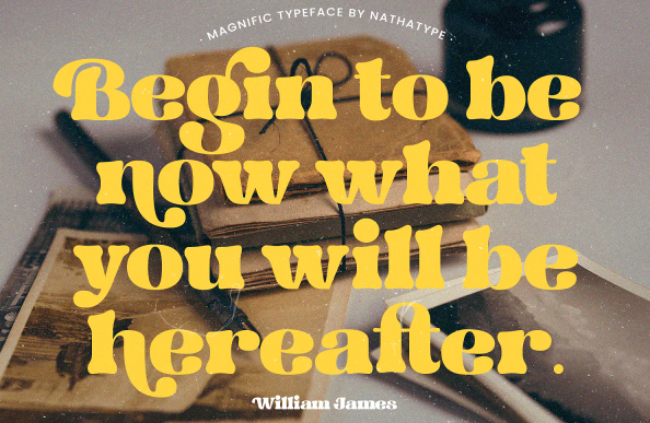 Creativemarket Magnific Font 2022 слив курса