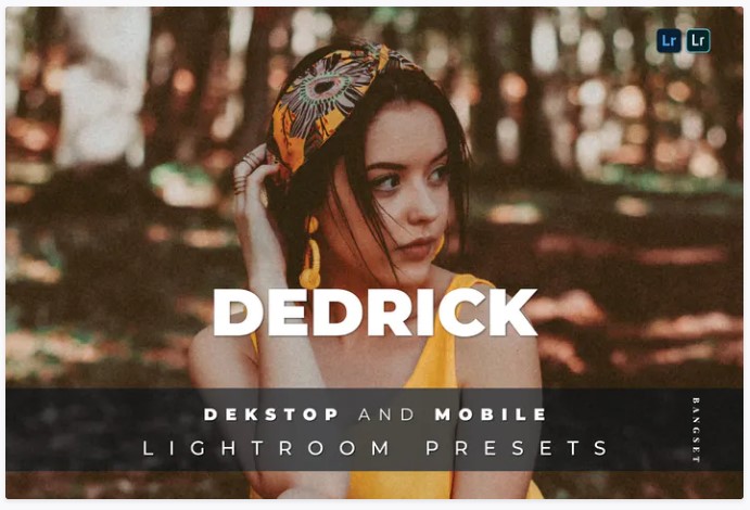 Elements.Envato Dedrick Desktop and Mobile Lightroom Preset 2021 слив курса