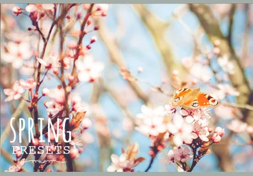 Pastel Presets - Spring - 60 весенних пресетов для Lightroom от Creativemarket слив