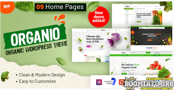 Themeforest Organio - Organic Food Store WordPress 2021 слив курса
