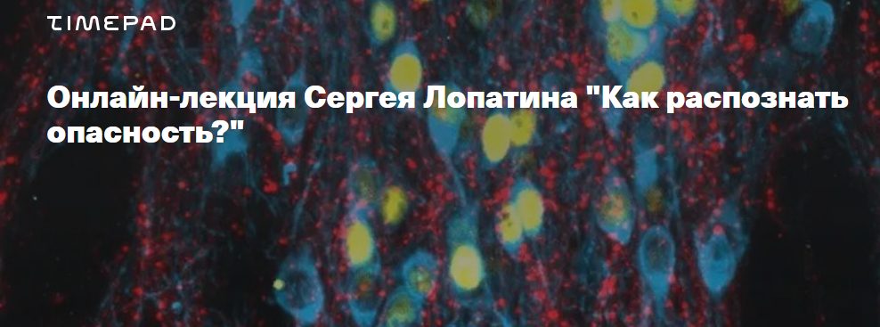 Timepad Сергей Лопатин ― Биология стресса. Лекция 1: Как распознать опасность? 2024 слив курса