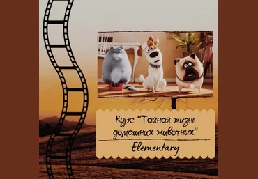 Евгения Сушкова Курс по мультфильму «Тайная жизнь домашних животных» 2024 скачать слив