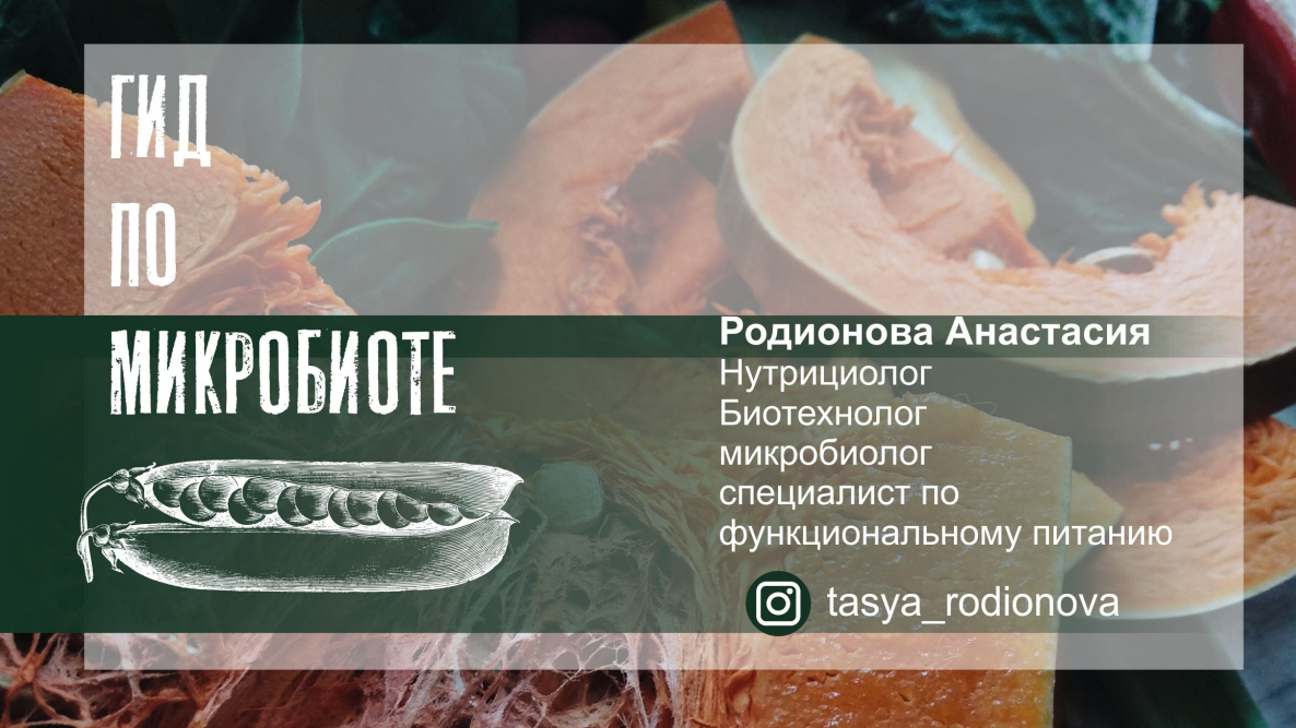 Анастасия Родионова Вебинар «Гид по микробиоте: дисбактериоз, питание, пробиотики» 2022 слив курса