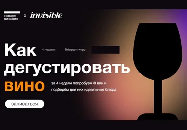 Александра Старикова Синхронизация Как дегустировать вино 2022 слив