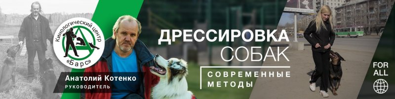 Анатолий Котенко Воспитание щенка. Дрессировка собаки 2019 слив курса