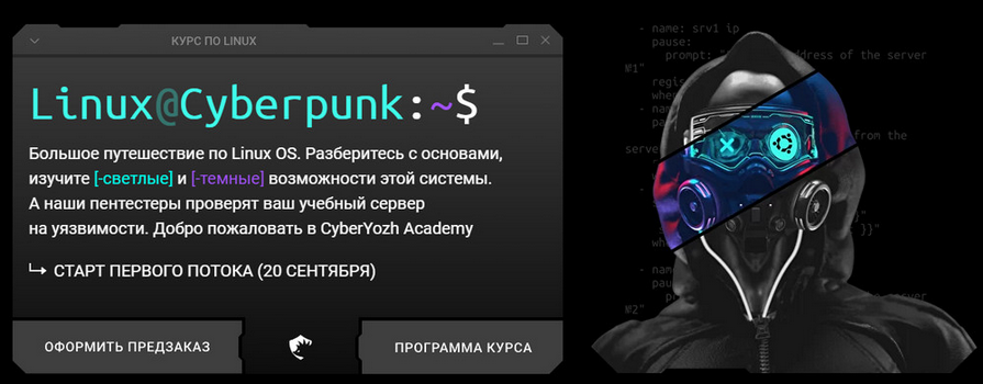 Евгений Ивченков, Алексей Гришин CyberYozh Linux Cyberpunk. Тариф Black 2024 слив курса