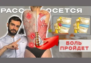 Андрей Павлов Фундамент здоровья 2024 слив