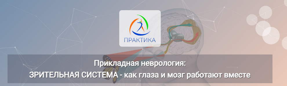 Мария Недре Прикладная неврология: Зрительная система - как глаза и мозг работают вместе 2024 слив курса