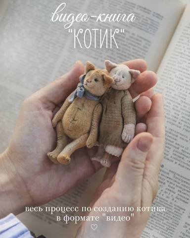 Наталья Суранова Видео-книга «Котик» 2021 слив курса