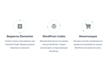 Александр Сокирка geniuscourses.com Разработка Темы для WordPress 2021 слив