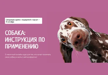 kinologschool Антонина Зимарева - Собака: инструкция по применению 2021 слив