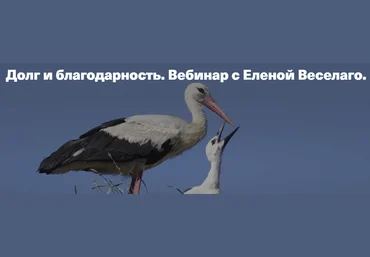 Елена Веселаго Долг и благодарность 2020 слив