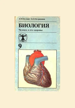 Архэ Антон Захаров ― Что физиологи знают про еду? Полезная и вредная еда, как следить за рационом. слив
